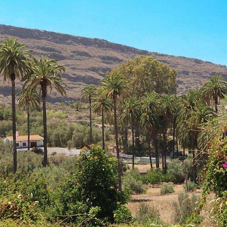 Casa Rural El Olivar La Molienda Santa Lucia Exteriér fotografie