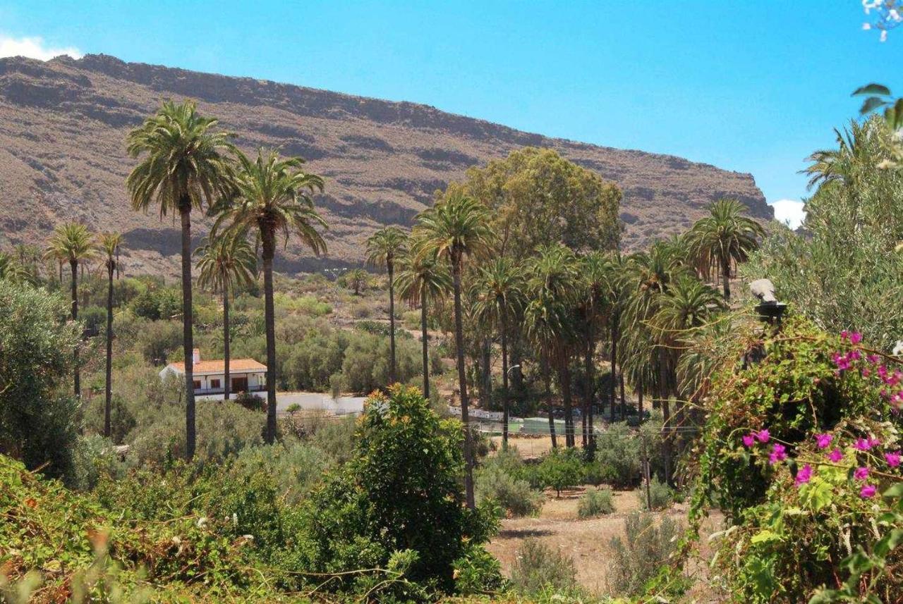 Casa Rural El Olivar La Molienda Santa Lucia Exteriér fotografie